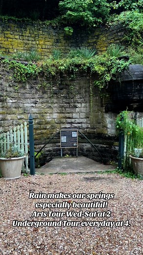 40K views · 721 reactions | Hidden Eureka: A Downtown Walking Tours on Reels | Facebook