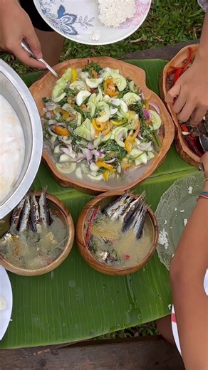 I went to the riverside to pick “Pako-Edible Fiddlehead Fern” and cook in 3 ways 💚