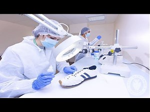 Watch how to sign 'forensic' in American Sign Language.