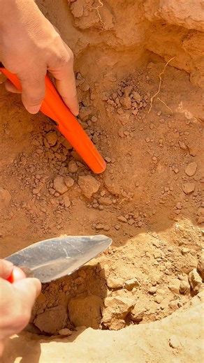 Khajane ki khoj 👀 Underground With Pinpointer Detector #metaldetecting #pinpointer #khajanekikhoj