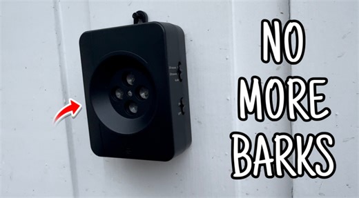 Watch Ultrasonic Dog Bark Control! on Amazon Live