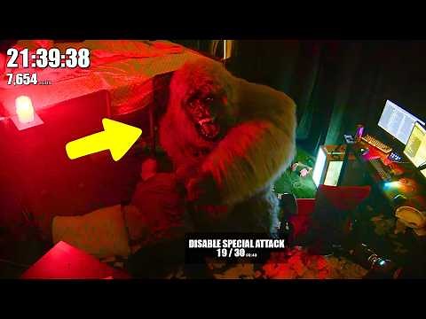 Odablock fights a gorilla and things got HEATED..