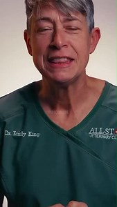 2.4K views · 1.1K reactions | Hope for pups: This medication could cure parvovirus in dogs.", Credits to the owner @dremilyking . . . . . #vetmed #veterinarymedicine #dogsofinstagram #cure #vetsofinstagram #vetadvice #DogSafety #parvovirus #vetschool #veterinarycoaching #instadaily #animalhealth | Vet Candy | Facebook