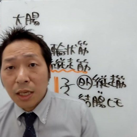 大腸の結腸ヒモは内輪走筋からなる。〇or✕ #看護国試対策 #看護国試 #第113回看護師国家試験 #絶対合格 #さわ研究所