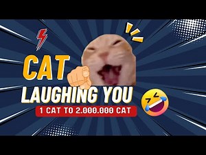 CAT LAUGHS AT YOU X 2.000.000 😹🤣 | FUNNY CAT REACTIONS!