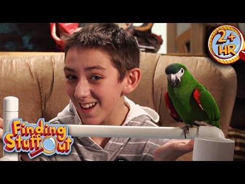 Learning Languages | Preschool Learning Videos For Kids | Finding Stuff Out | 9 Story Fun