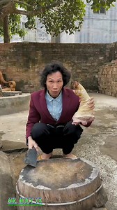 490K views · 1.5K reactions | Wow Master Chef Cooking Chinese Food | Bon Da | Facebook