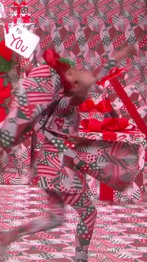 Let's Hit the North Pole and Live Happily with Team Sia and Maddie Ziegler