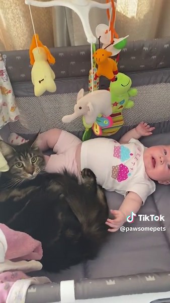 Friends for life🐱 #catandbaby #petfriends | cat and baby
