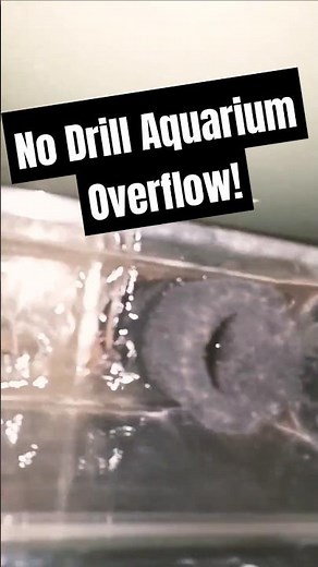 Hang-On Back Overflow Box The #1 Game-Changer for Aquariums!
