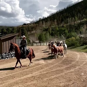 1.9M views · 97K reactions | Check out these beauties running out to pasture . The tranquil sound of the hooves on the bridge is mezmorizing and the two little donkeys steal the show at the end. #clazyugetaway #clazyu #clazyuranch | C Lazy U Ranch | Facebook