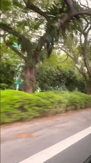 Singapore Street Views – The City of Harmony 🌆✨