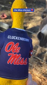 Debbie Vibes on Reels