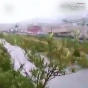 Footage shows the moment a section of a highway bridge collapsed in northern Italy -- at least 20 people have been killed. Live updates here: https://cnn.it/2MKTla5 | CNN International