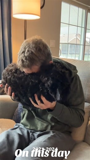 How to Calm a Misbehaving Dog (Throwback Post) #puppy #training #pets | Nathan Timmel