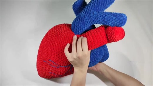 Anatomical Heart Amigurumi Crochet Pattern: Medical Gift (PDF Pattern) - Etsy
