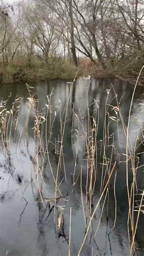 English Countryside. #nature #countryside #england
