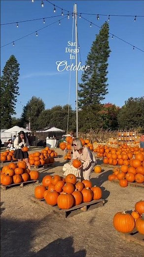 San Diego in October | Travel Guide & Things to Do 🌴☀️