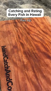 Catching and Rating Every fish in Hawai’i part 42: Manini | Islandcatchandcook