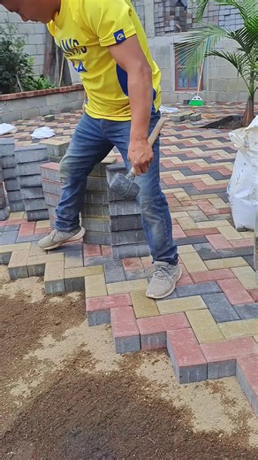 Paving Project: Creating a Stunning Brick Walkway