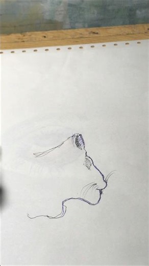 Shadow Art Illusion 😱 | Pencil Sketch That Turns Into Shadow Magic