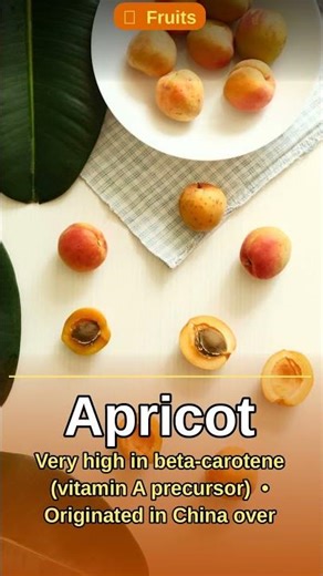 Apricot Fun for Kids! Learn About Fruits #Shorts