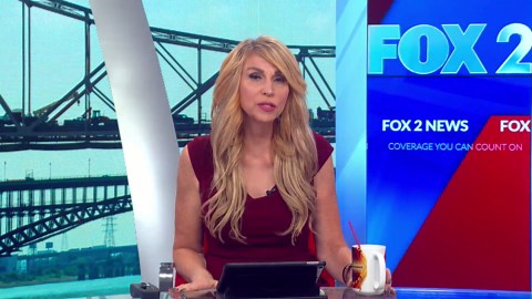 Real-time map shows St. Louis early voting wait times