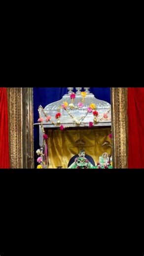 #radharaman ka adbhut roop swarrop/ #varindavan #premanand #trendingshorts #viral