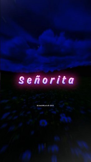 Señorita (I love it when you call me señorita) - Shawn Mendes & Camila Cabello | lyrics | aesthetic