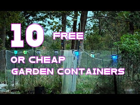 10 Free or inexpensive containers for your fall garden