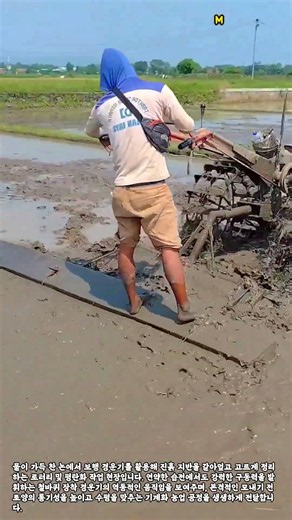 보행 경운기 활용 논 로터리 및 밭갈이 작업 #worker #process #tractor #farming #paddy