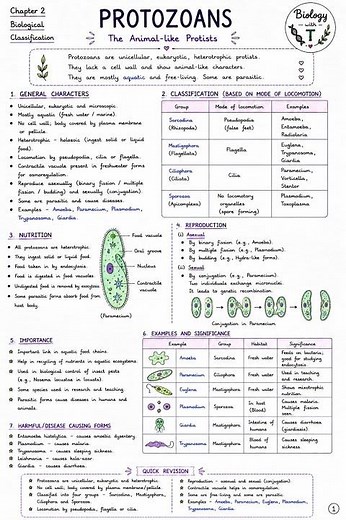 Protozoans | Chapter 2 Biology Class 11 | NCERT | #BiologyWithT #Class11Biology #NEET