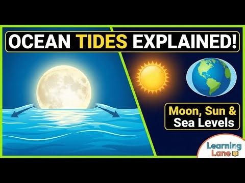 “Tides Simplified: Causes, Types, and Importance | Learning Lane Science”