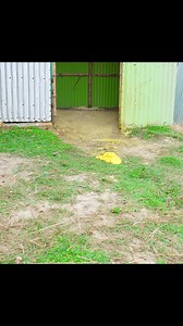 1.2M views · 10K reactions | Totally Amazing Comedy Must Watch New Special Comedy Video 2025#comedy #funnyvideos #funniestmoments #TryToNotLaugh #funny | Our Fun Tv | Facebook