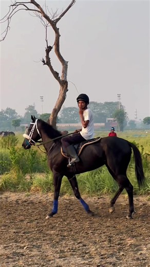 #LRC Horse Video #foryouvideo #horselovers❤️🐎❤️ Ehtisham Murtaza #viralvideo #foryoupagе @Racing TV @Ai news @WHR @hsntiwana @Di.KhanHorse.Racing Lovers @sahil jutt9357🐎 @♥𝘾𝙝𝙖𝙠𝙬𝙖𝙡❣️𝙥𝙪𝙣𝙟𝙖𝙗♥ @jockey bisharat Baloch @shahid Rehman