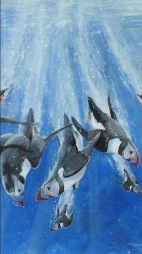 8 Birds That Swim Underwater Like Fish 🐦🐟 | Amazing Nature Fact