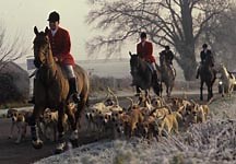 Taking up hunting as an adult: H&H's tips - Horse & Hound