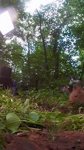 5.6K views · 312 reactions | Quick escape: I’ve gotta get out of this place, reasons our squirrel model. If the exit is through me, so be it! | Squirrels by Fotoscenen | Facebook