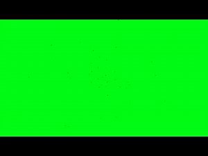 Swarm of Flies Green Screen Animation