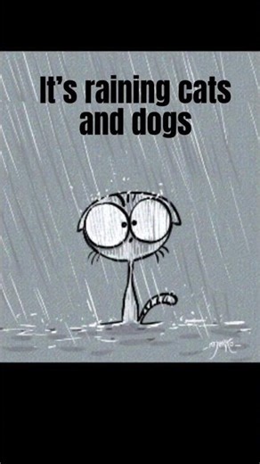 “it’s raining cats and dogs” meaning