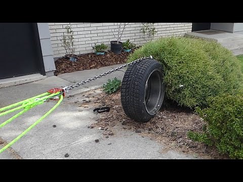 Plant removal with 5 to 1 block and tackle pulley system