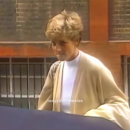 Princess Diana Stands Up to Paparazzi - Powerful Moment Captured