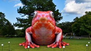 Virginia Zoo announces first-ever drive-thru exhibit coming November