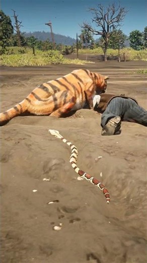 PRO SURVIVAL SKILLS v65 #shorts