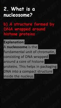 🌟 Genetic Code Blueprint | Ultimate Codon Breakdown | NEET High Score
