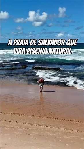 Salvador Beach, which looks like a tropical paradise.
