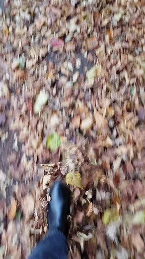 Andreea Mares (@andreeamares5)’s videos with we fell in love in october - girl in red