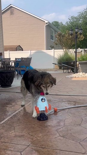 Becky's High-Flying Fun with Water Toys and Rockets!