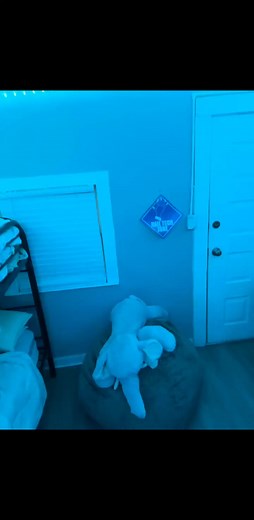 music sync rgb led strip lights | 100ft bedroom ambiance. #ledlights #rgbstriplights #musicsync #homedecor #roomdecor #partydecor #bluetoothlights #appcontrol #ambientlighting | Meghin Furniss