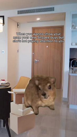 Shopping with Mom: Enjoy Shopee Hauls Together!